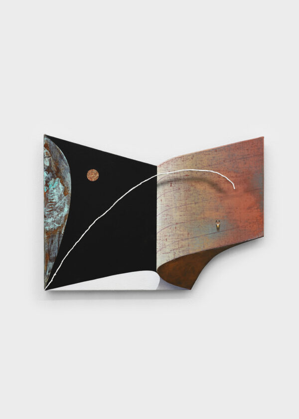Dominik Halmer - EX-Shield